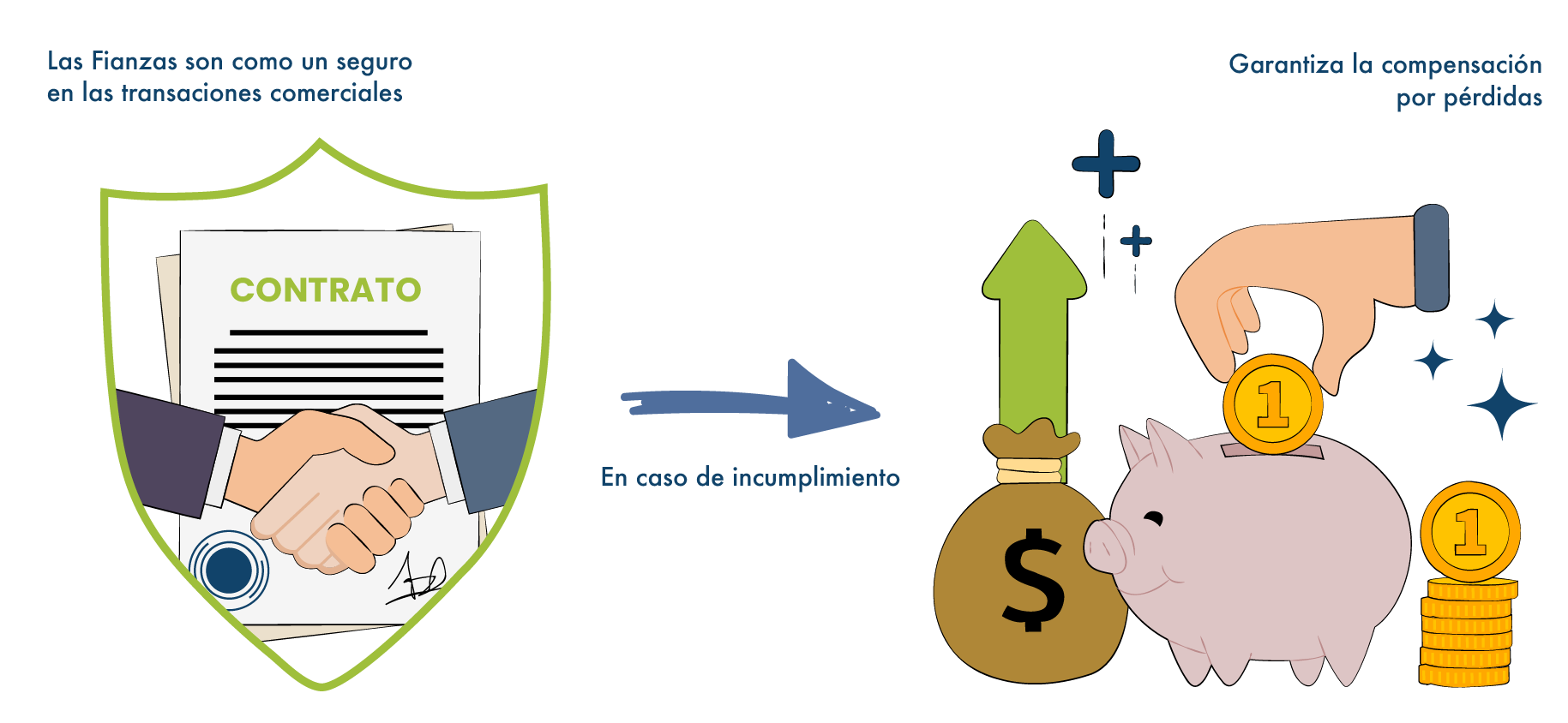 ¡La guía definitiva sobre fianzas que no puedes perderte!
